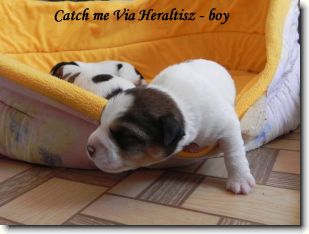 Zobrazit ve vetsi velikosti