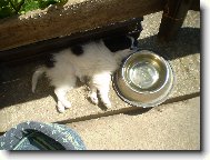 A se vzbudm napiji se