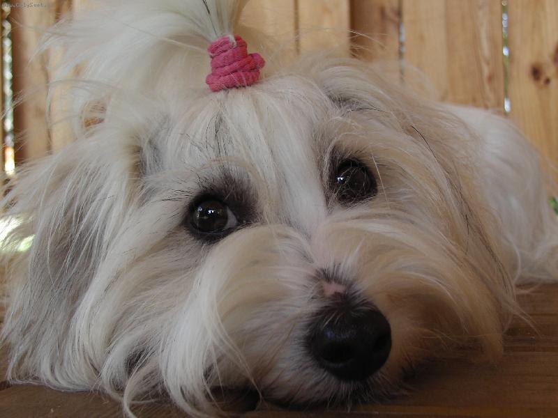 Foto: Nancy