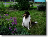 Fotosout�: Raf�k