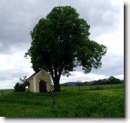 Fotosout�: Kapli�ka